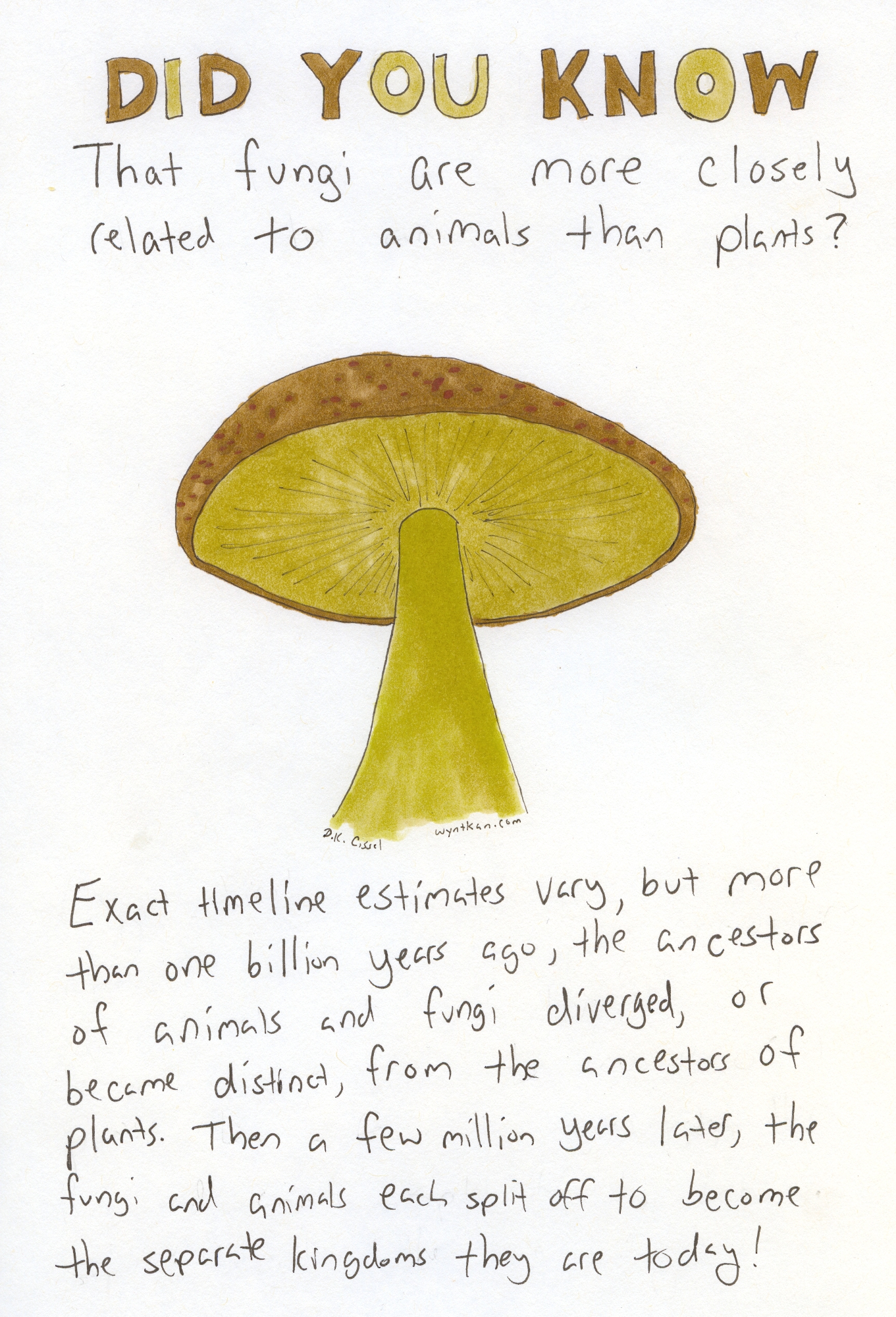 Did You Know That Fungi Are More Closely Related to Did You Know That Fungi Are More Closely Related to