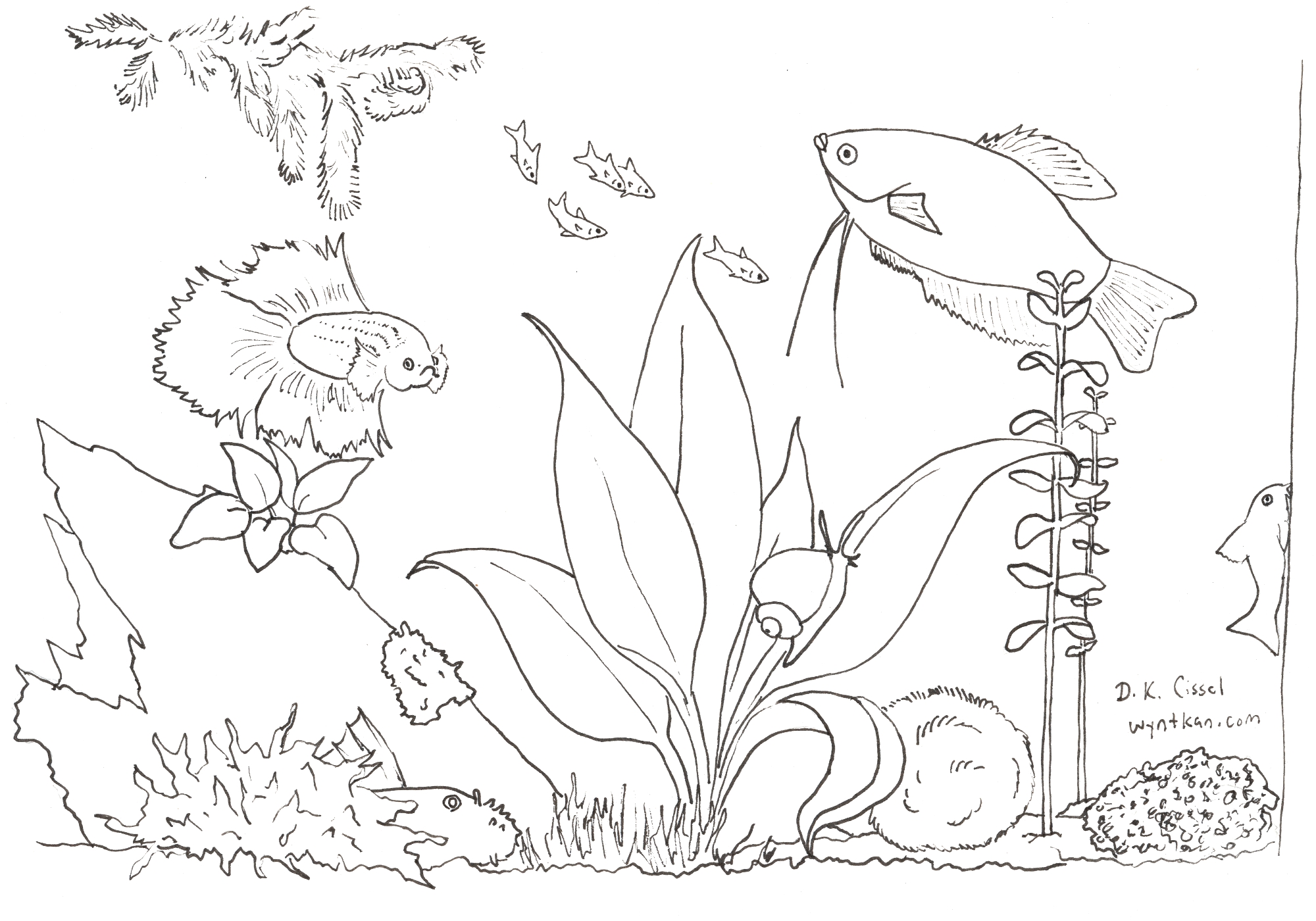 Coloring Page: Freshwater Aquarium – What You Need to Know About Nature